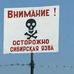 В Волгоградской области оштрафовали фигурантов дела по сибирской язве 