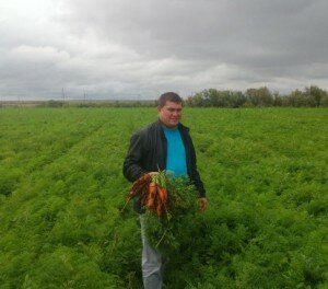 Андрей Бирюков - морковь с фермерского поля