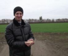 <strong>ООО «МАКС» (Еланский район) в разы увеличило прибыль за счет выращивания нута</strong>